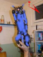 post-12515-1283160889_thumb.jpg